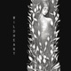 Wildheart Single