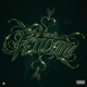 FETUXINI Single