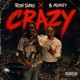 Dumb Crazy feat Ron Suno Single