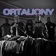 Ortaliony feat Polska Wersja DJ Decks Single