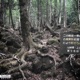 Aokigahara feat Chavo Be Perfect Yung Buda Single