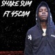 Shake Sum Single feat 45cam Single