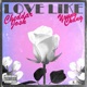 Love Like Single
