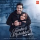 Tumhari Mohabbat Lofi Mix Single