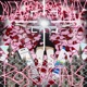 Rose Petals Single