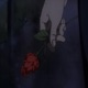 Estoy perdido y te traje flores Single