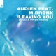 Leaving You Riggi Piros Remix Single