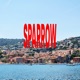SPARROW Single