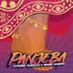 Panjeba Single