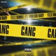Gang feat Foreign Baby Single