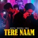 Tere Naam Single