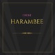 Harambee Single