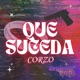 QUE SUCEDA Single