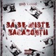 Sa se miste bagabontii feat Costi Single