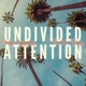 Undivided Attention Single