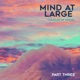 Mind at Large Pt III EP
