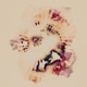 wd Single