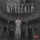 Neylerim Serdar AYYILDIZ Remix Single