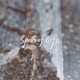 Spells of Life Single
