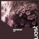 Calm Single