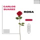 Rosa Single