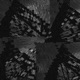 Press 1 Now feat ST4RFOX Single