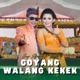 Goyang Walang Kekek feat Demy Single