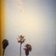 Nostalgia Single