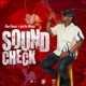 Sound Check Single
