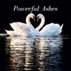 Powerful Ashes Single