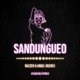Sandungueo feat Angel Rozhes Single