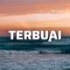 Terbuai feat Bee Ronall Evji Single