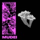 Mudei feat Daniel Fernandez Single