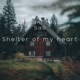 Shelter of my heart feat SAB Single