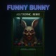 FUNNY BUNNY Remix Single
