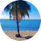 Special Needs Insel Lied Single
