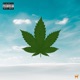 Erva Da Jamaica Single