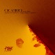 Cicatrici Acoustic Version feat Selene Ice Single