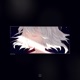 Awake Single