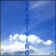 Skydiving Single