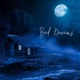Bad Dreams Single