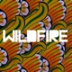 Wildfire feat Little Dragon Single