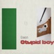 Stupid boy Single
