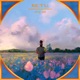 Sky s Falling From The Start Single