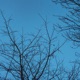 pale blue Single