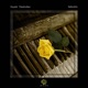Rebirth Single