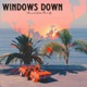 Windows Down feat Kid B Single
