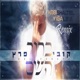 ברוך השם Kobi Shaltiel Yigal Levi Remix Single