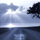 Shine Single