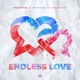 Endless Love Single